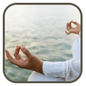 Passion and Purpose Articles