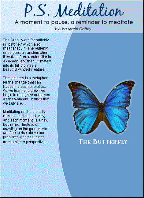butterflyimage002