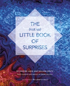 Little_Book_Surprises_COVER_Rev3